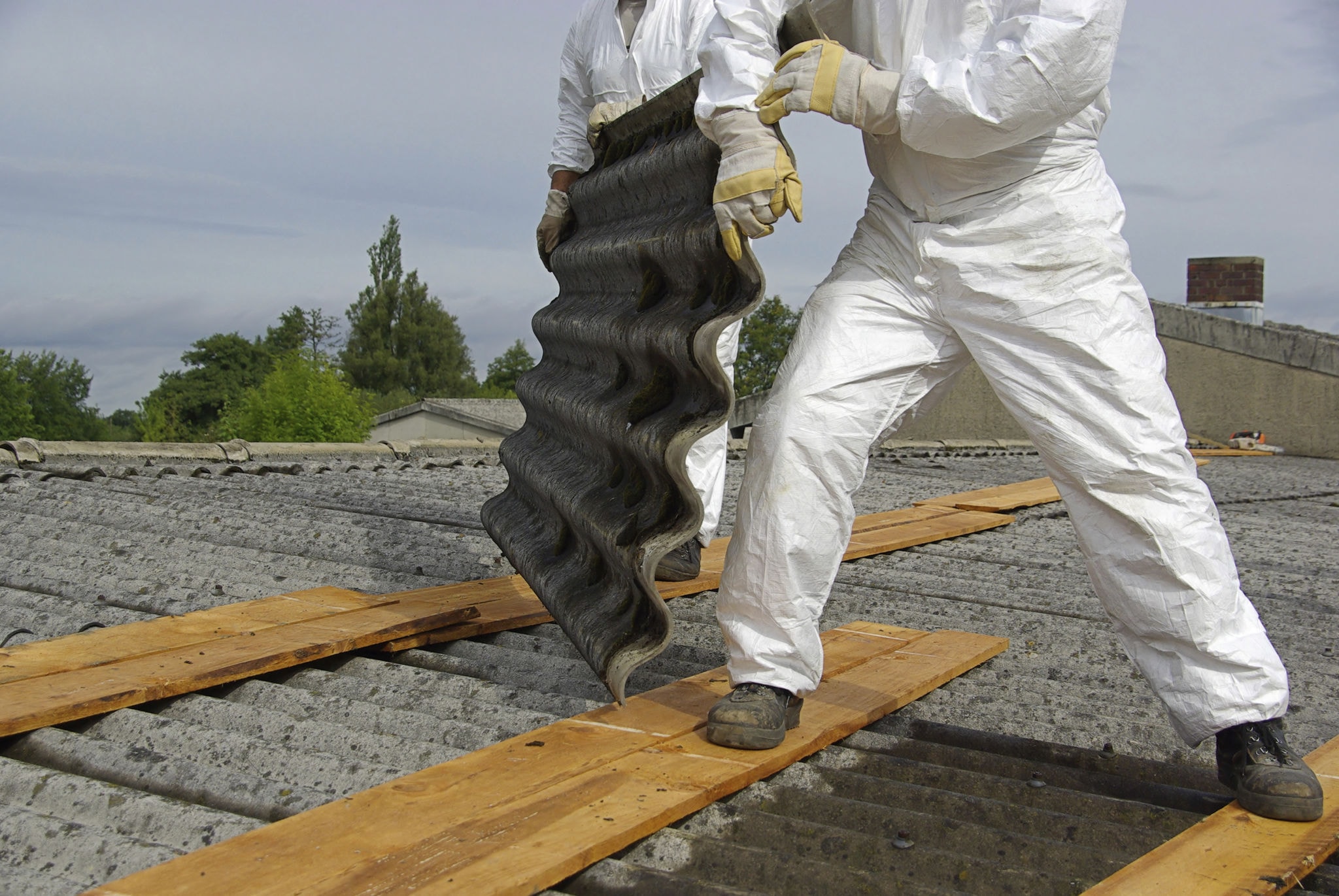 Asbestos Removal Guidance